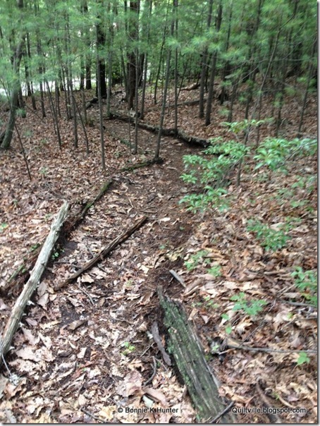 cabin 151