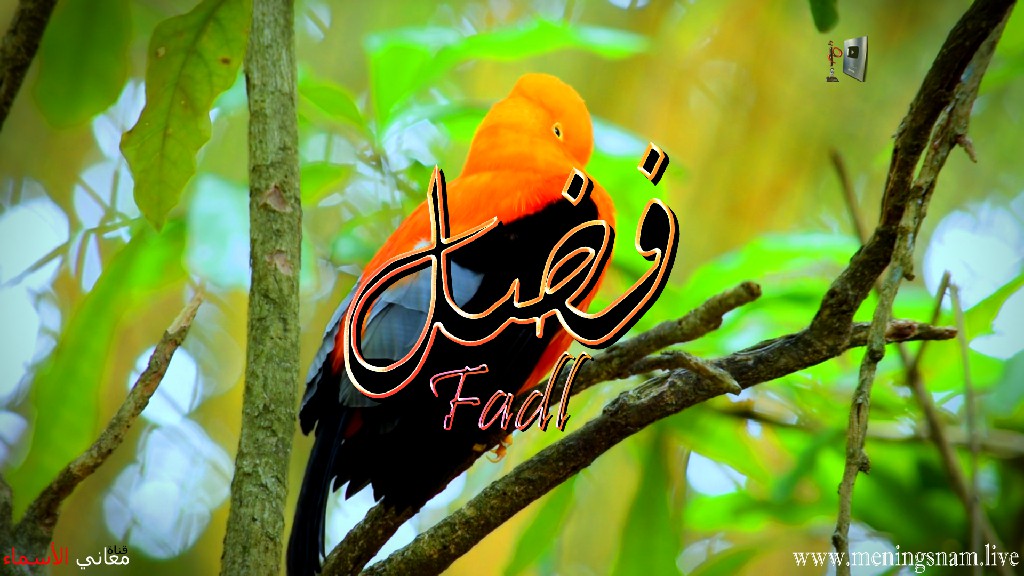 معنى اسم, فضل, وصفات, حامل, هذا الاسم, Fadl,