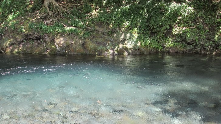 Bassin de la rivière Vaitepiha - Tahiti