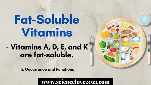 Fat-Soluble Vitamins : Occurrence, Functions, table