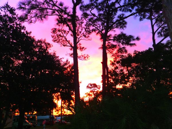 wickham park, melbourne, florida