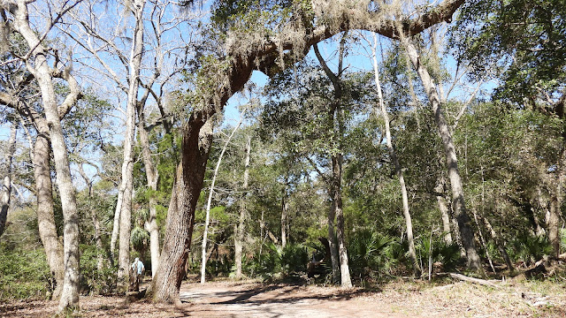 Guana Tolomato Matanzas National Estuarine Research Reserve