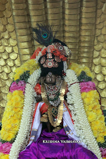 Sri Krishna Jayanthi, Kutty, Kannan, Purappadu,2016, Video, Divya Prabhandam,Sri Parthasarathy Perumal, Triplicane,Thiruvallikeni,Utsavam,