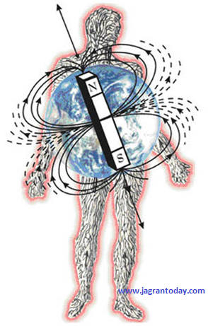 Type of Magnetic Therapy