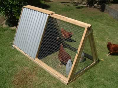 hen house are essential in growing chickens not only does it provide ...