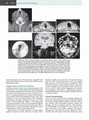 Hagberg and Benumof's Airway Management 4th Edition