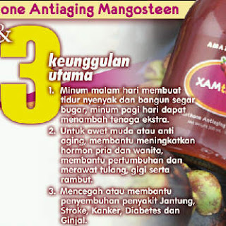 Obat Insomnia