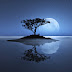 Tree in Moon Light Digital Wallpaper