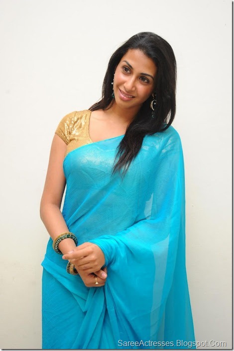 Gayathri Iyer Hot in Blue Saree 7