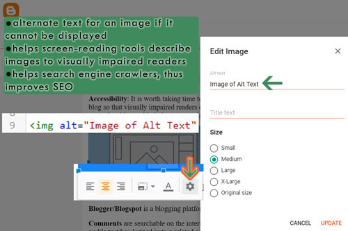Image of Alt Text example