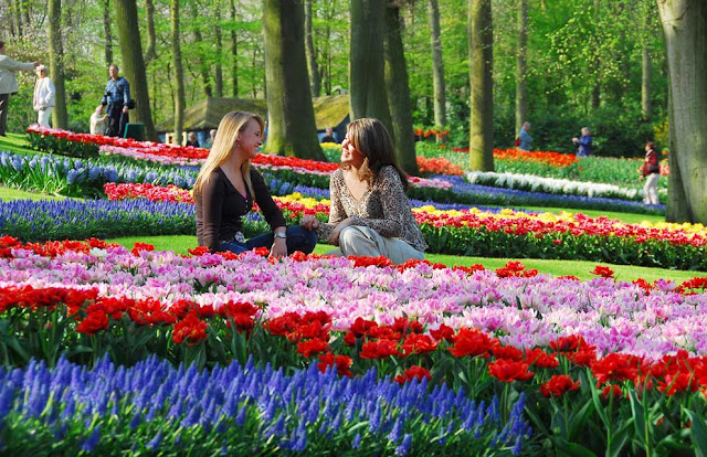 Spring Season in Holland
