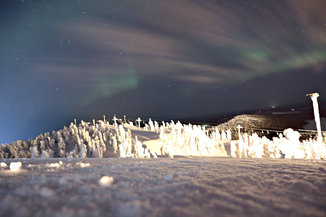 The Northern Lights, taken from Ruka mountain, overlooking a snowy forest. 