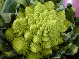 brócoli romanesco