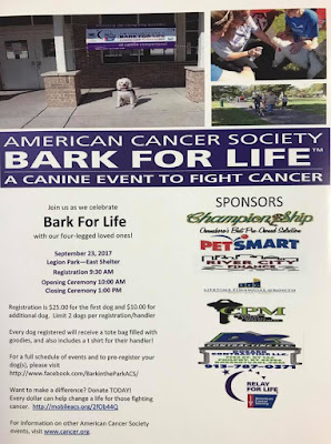 Bark For Life Owensboro Ky Flyer