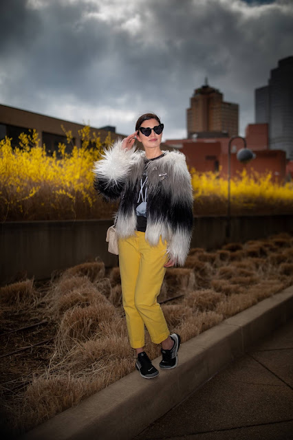 black and yellow, forsythia, Pittsburgh blogger