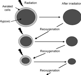 The reoxygenation process