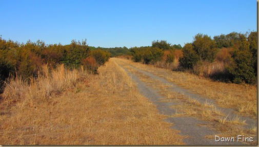 harris neck nwr_151