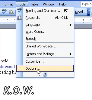 Microsoft Word Tools 