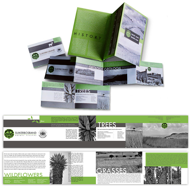 Free Brochure Design1