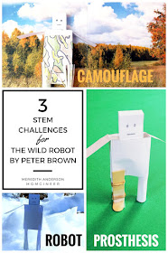 Integrate STEM and literacy with these hands-on challenges for The Wild Robot! Your kids will feel like they are in the story as they follow Roz on her adventures. | Meredith Anderson - Momgineer