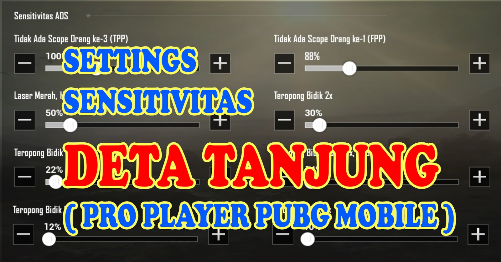 Settings Sensitivitas Deta Tanjung Pro Player Pubg Mobile Ngopi212