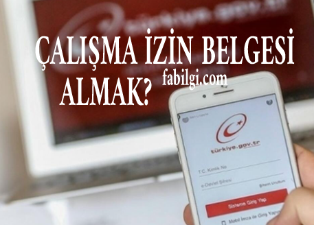 E-Devlet Çalışma İzin Belgesi Nasıl Alınır? Uygulamalı Anlatım