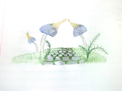 Idea book- mushroom path