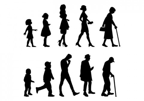 Evolution of the Human Lifespan