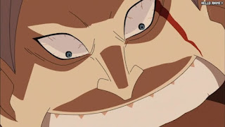 ワンピースアニメ 幼少期 495話 ポルシェーミ | ONE PIECE Episode 495