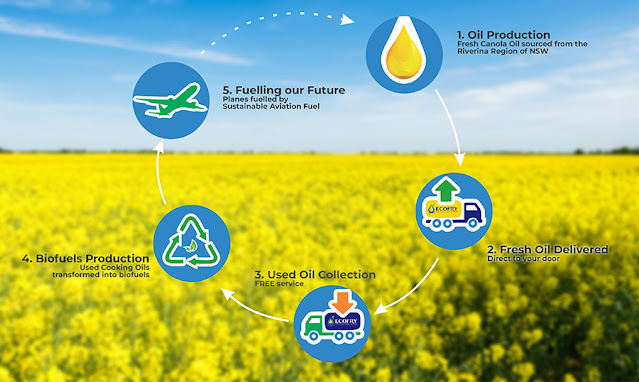 Infographic: Cooking Oil Route from Production to Sustainable Aviation Fuel