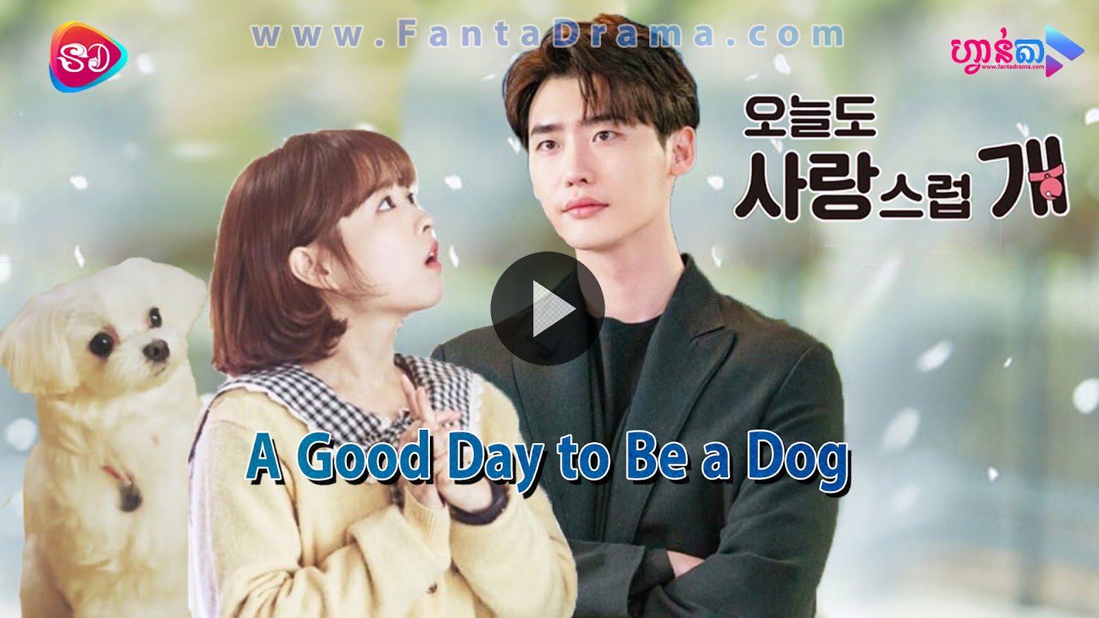 A Good Day to Be a Dog (Eng Sub)