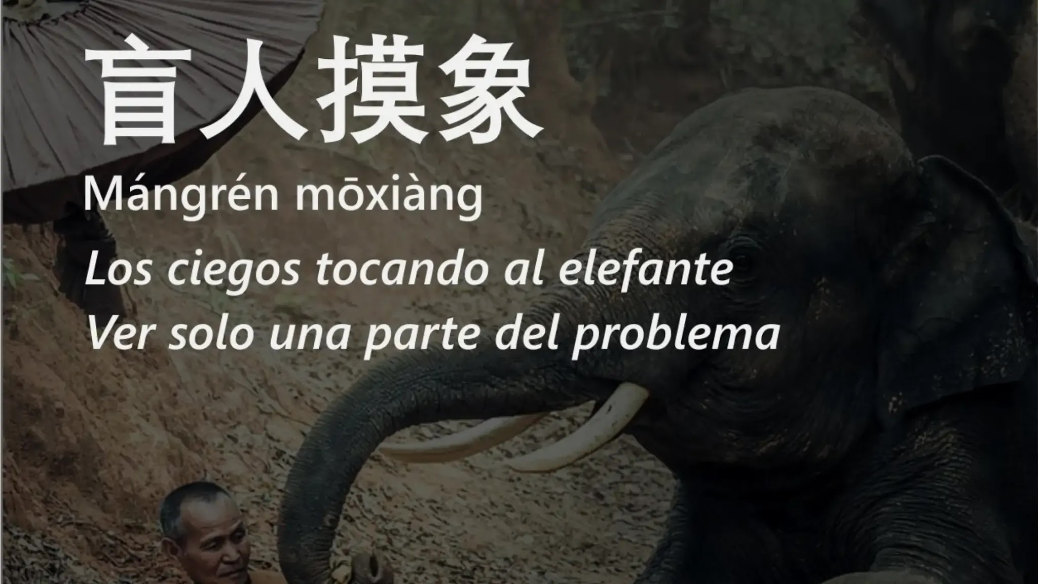 盲人摸象 (Mángrénmōxiàng) Ver solo una parte del problema