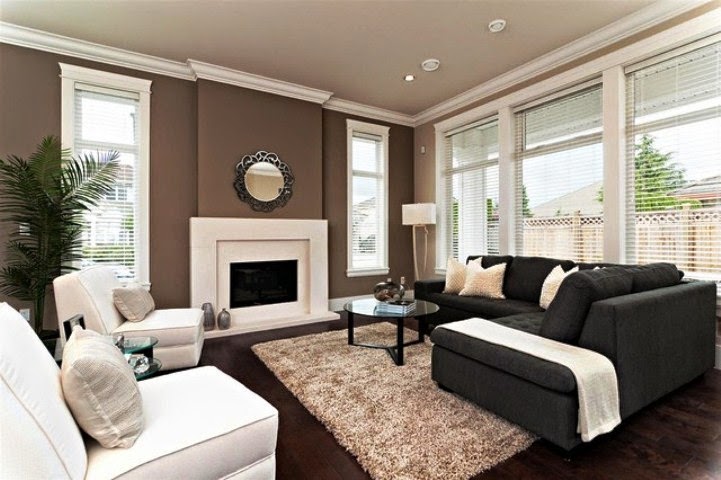  Paint  Color  Ideas  for Living  Room  Accent Wall 