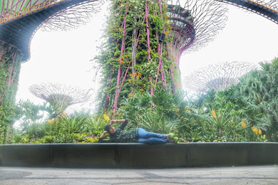 garden by the bay