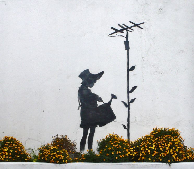 banksy graffiti flower. anksy graffiti artwork