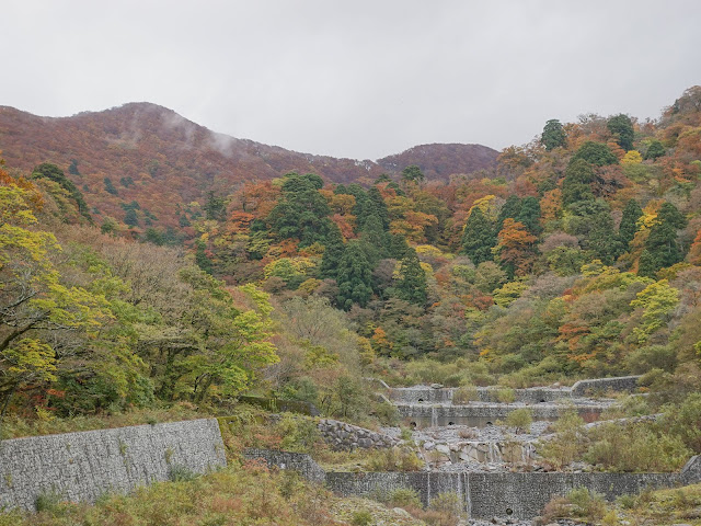 大山寺橋からの眺望