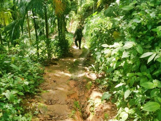 Air Terjun Lau Njahong Gunung Ambat 