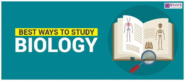 Best ways to Study Biology
