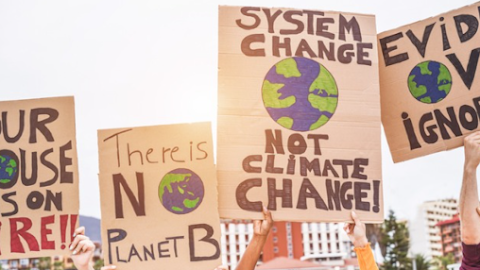 Only 63 of 1,500 Climate Policies Reduced CO2 Emissions 