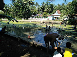 Tradisi Gubyeg di Kedung Desa Megulunglor, Pituruh