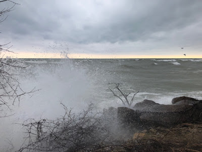 On the shoreline