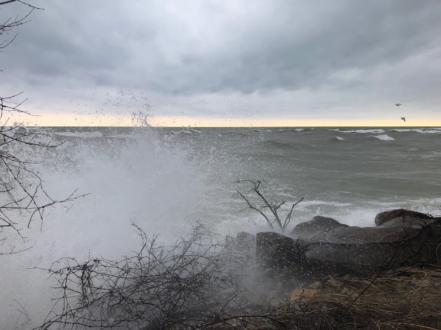 On the shoreline