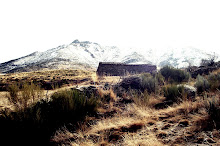 Serranillos