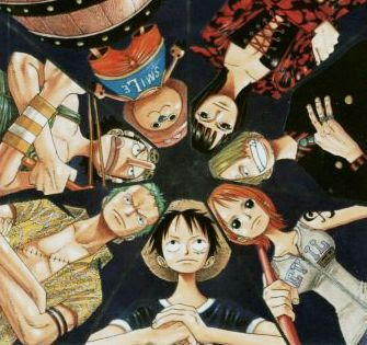 One Piece Team Picture