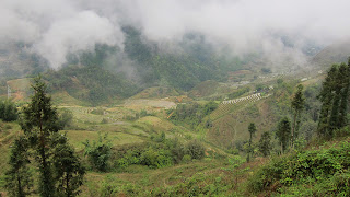  Sapa