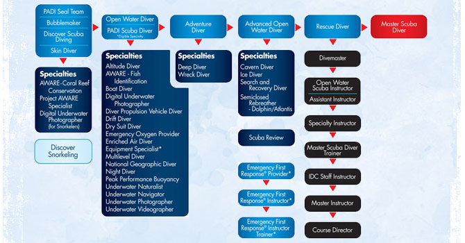 Course Catalog NAUI Worldwide. Dive Safety Through Education