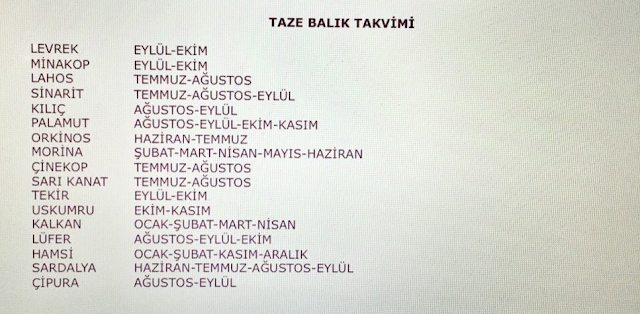 Taze balık takvimi