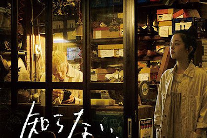 Sinopsis Their Distance / Two Strangers / Shiranai, Futari (2015) - Film Jepang