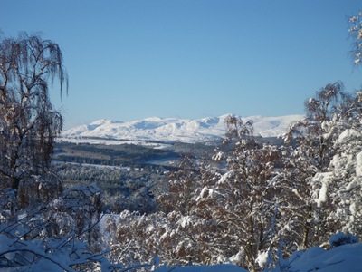 IMGP0409