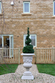 Box Topiary